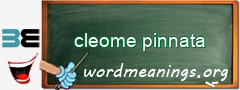WordMeaning blackboard for cleome pinnata